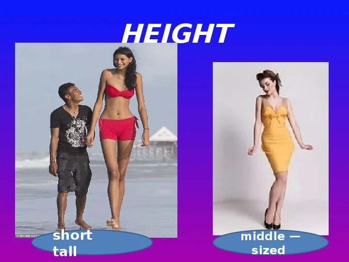 Middle Size модели. Tall short. Tall or short. Height Tall short. Short height