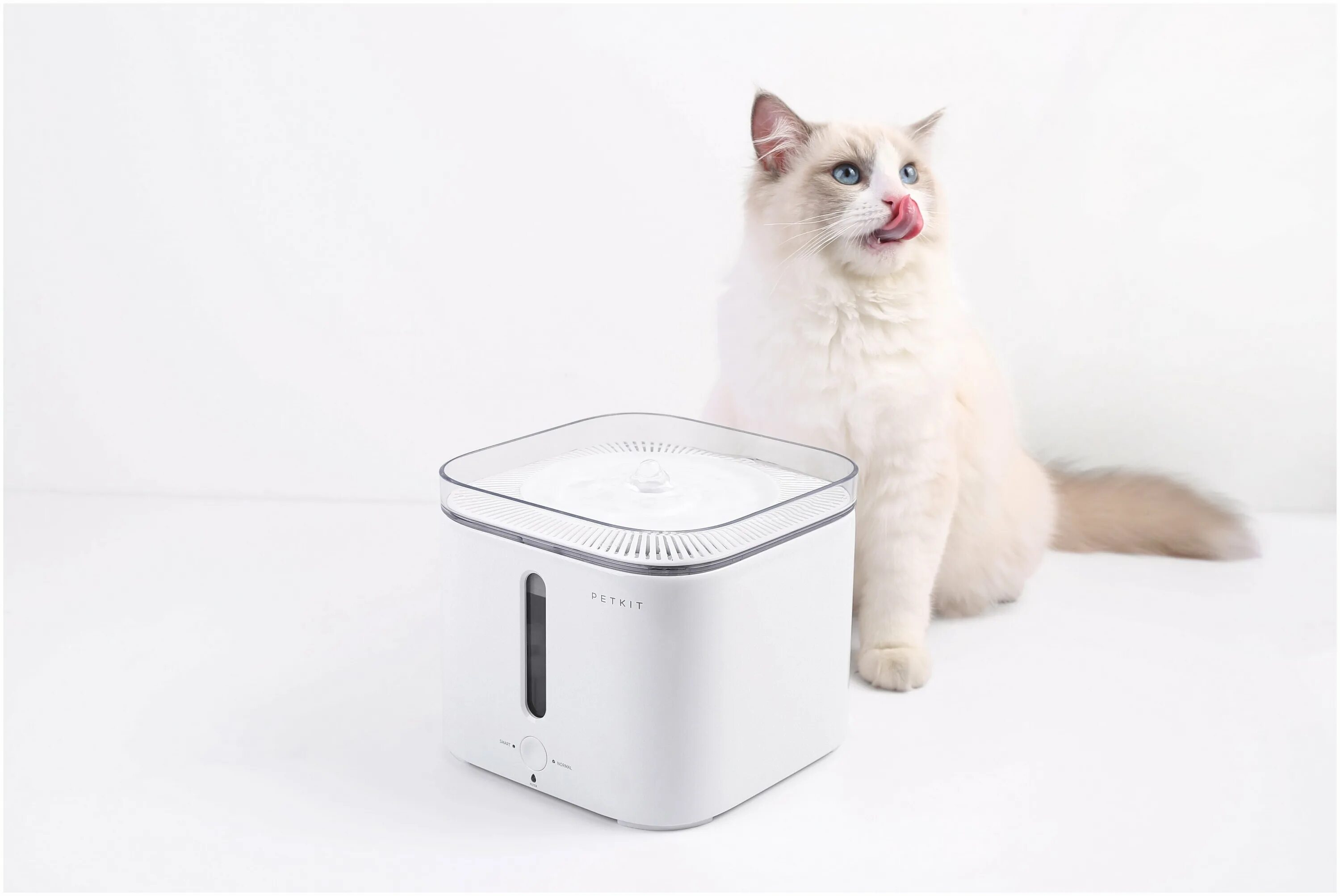 Xiaomi pet fountain. Питьевой фонтан для животных c системой фильтрации Eversweet 2. Xiaomi Smart Water Dispenser Eversweet 3. Xiaomi Smart Pet Fountain. (Комплект) Xiaomi Smart Pet Fountain + Xiaomi Smart Pet Fountain Filter.