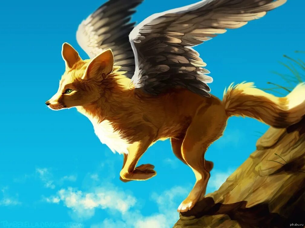 Крылатая лиса арт. Нарисовать лисицу. Художник orphen sirius. Angel fox. Девятихвостый фенек.