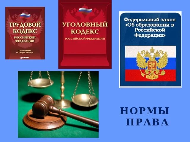 Правовые нормы. Правовые и юридические нормы. Правовые нормы рисунок.