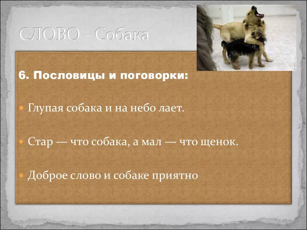 Что означает слово собака. Поговорки про собак. Пословицы про собак. Пословицы и поговорки про собак. Пословица со словом собака.