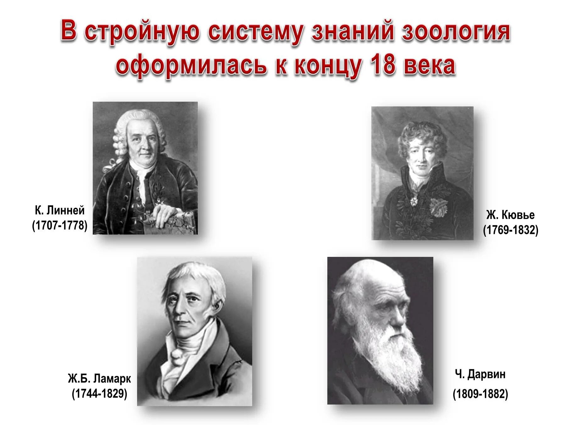 Достижения зоологии. Зоология ученые. история развития зоологии. развитие отечественной зоологии. история отечественной зоологии.