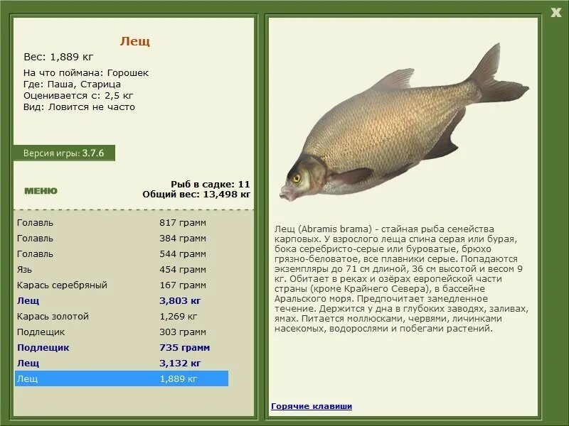 морской петух вес. петух русской рыбалки. петух русской рыбалки. петух русской рыбалки. морской петух реальная рыбалка.