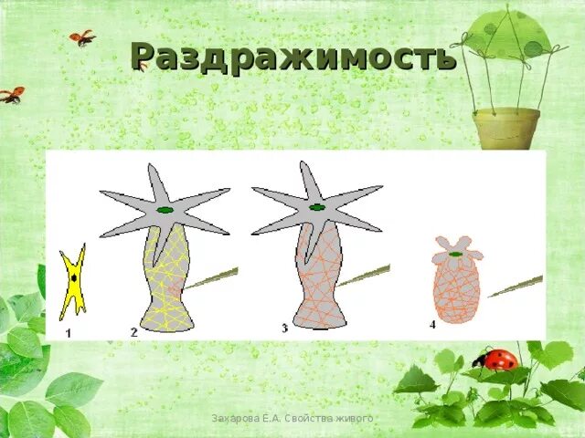 Рисунки свойства живых организмов