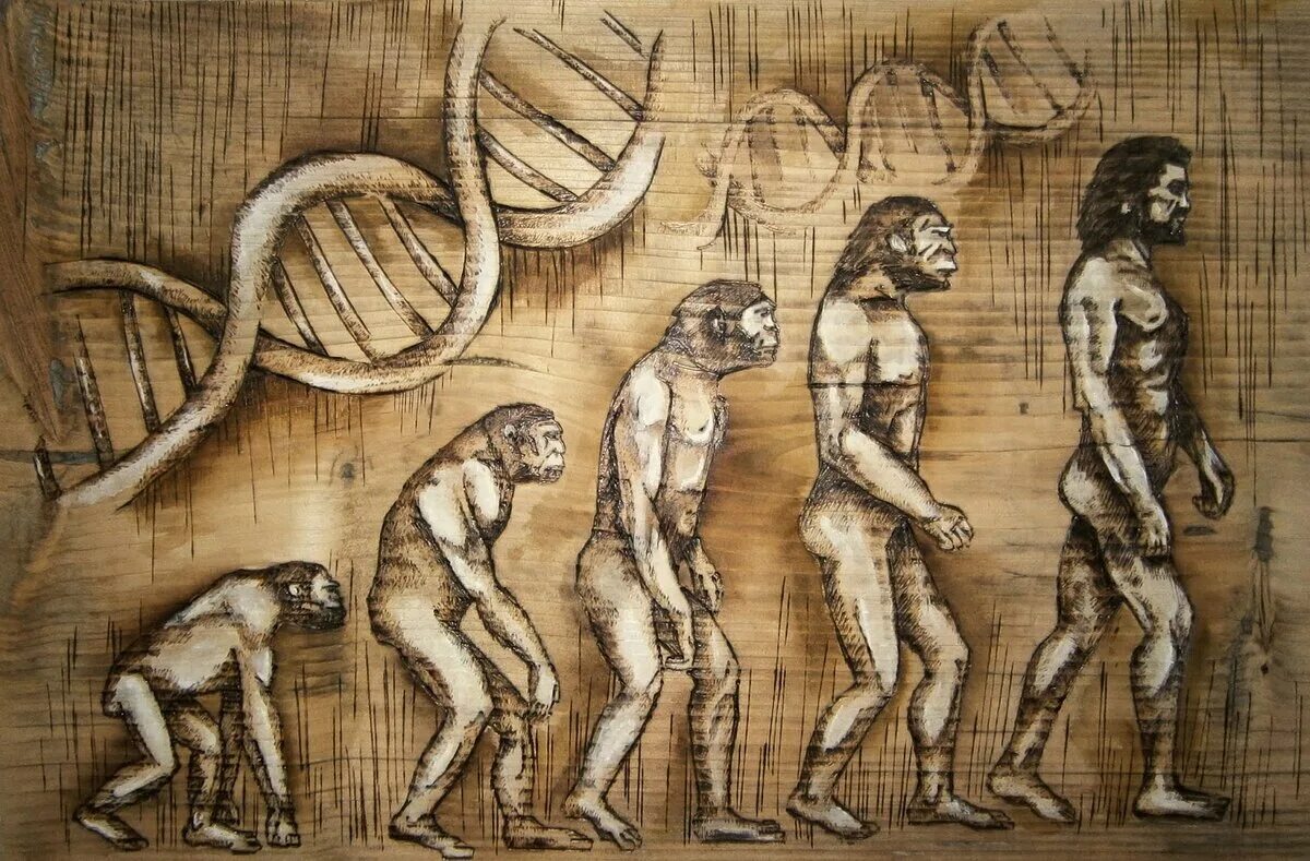 Человеческий прогресс и человек. Теория Дарвина о эволюции человека. Теория Чарльза Дарвина картинки.