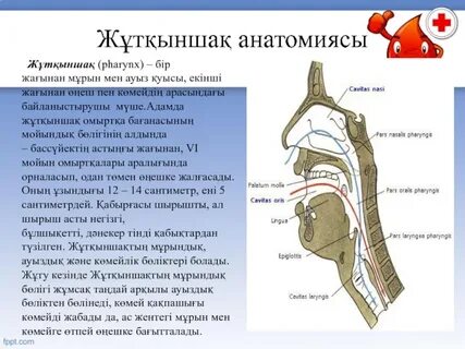 Ольга Фреймуттың жалаңаш суреті