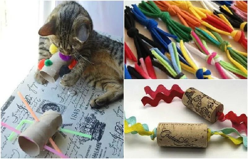 Самодельные игрушки для котят. Самодельная игрушка для кота. Сомодельные игрушки для котёнка. Игрушки для кошек из подручных материалов. Самодельный кот