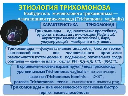 Чем лечить трихомониаз у женщин препараты