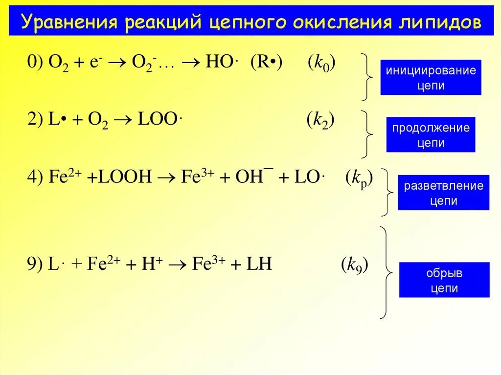 S n2 уравнение реакции