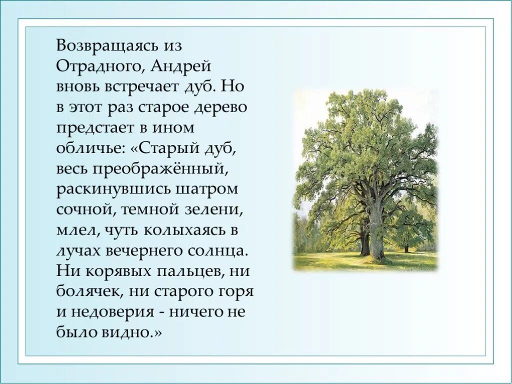 Вторая встреча андрея с дубом. Толстой описывает дуб. Лев Николаевич толстой дуб.
