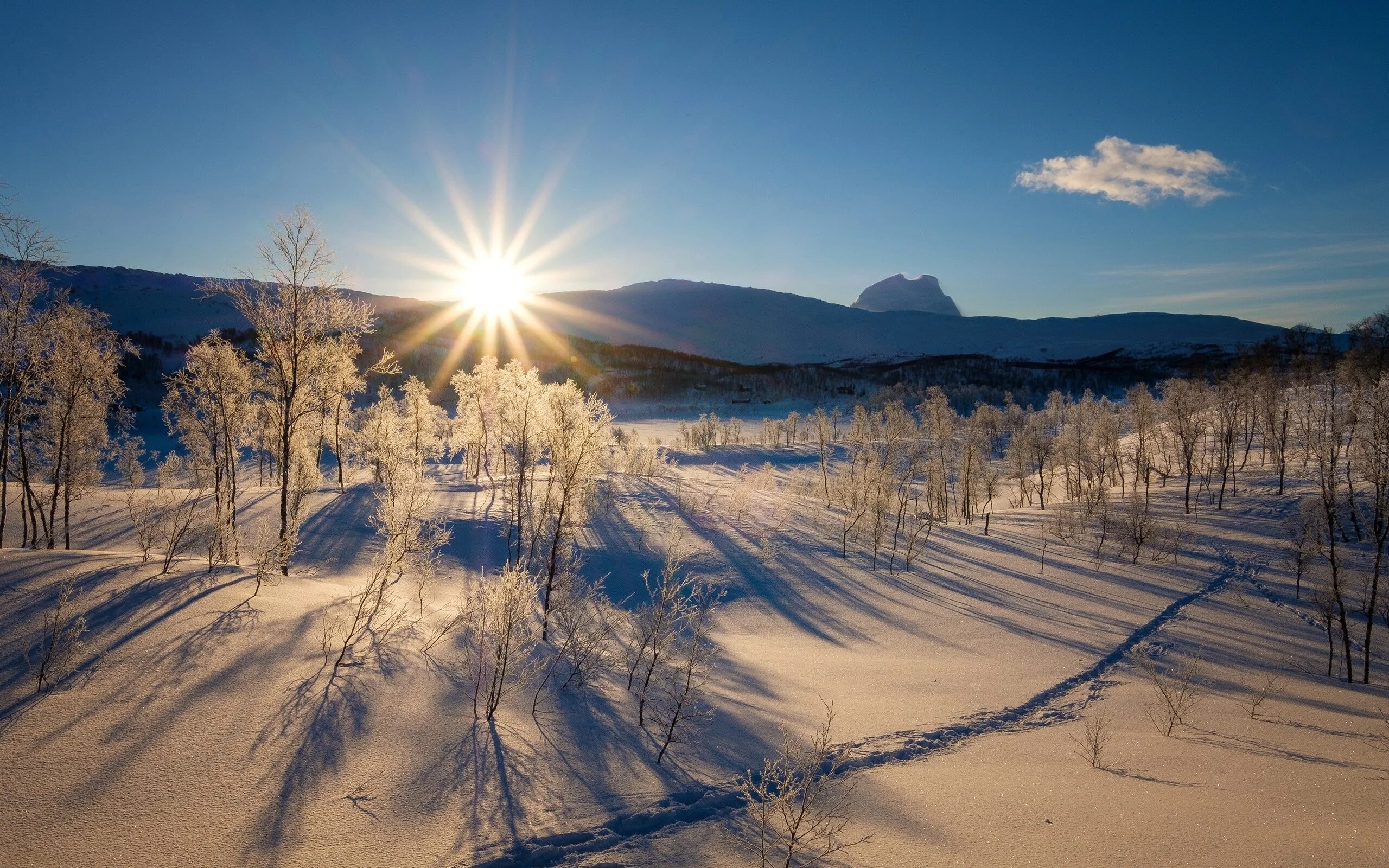 Зимний рассвет. Зима солнце. Зимний пейзаж с солнцем. Рассвет зимой. Красивое солнце зима