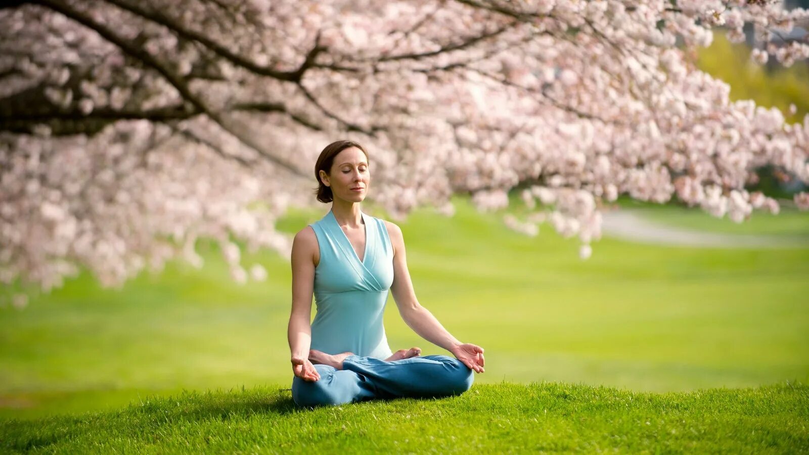 Сад для медитации. Весенняя йога. Девушка медитирует в саду. Медитации матки