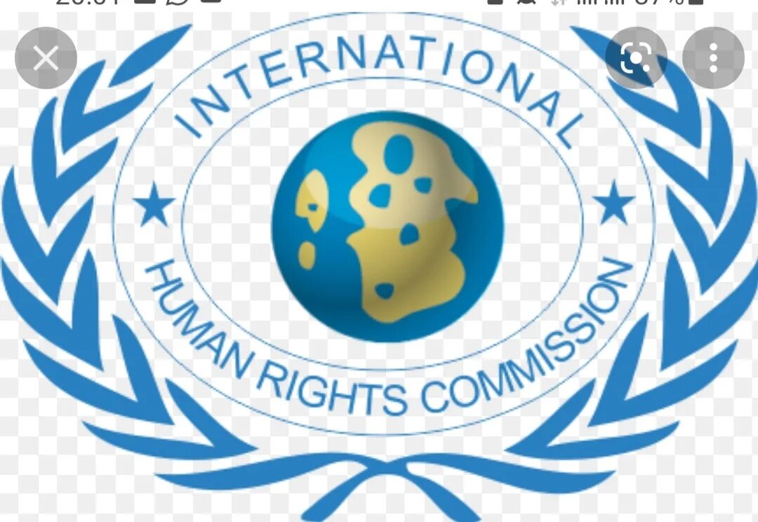 International rights. International human rights. international human rights law. human law rights logo. international human rights law документ.
