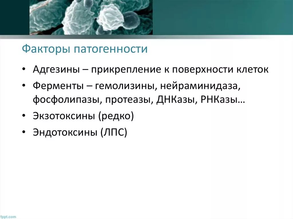 Вирус ковид группа патогенности. Вирусные диареи. Диарея вирус. Классификация вирусных диарей у детей. Вирусная инфекция понос.