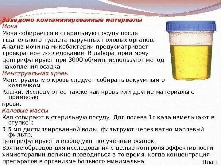 Сколько можно хранить мочу до сдачи анализа