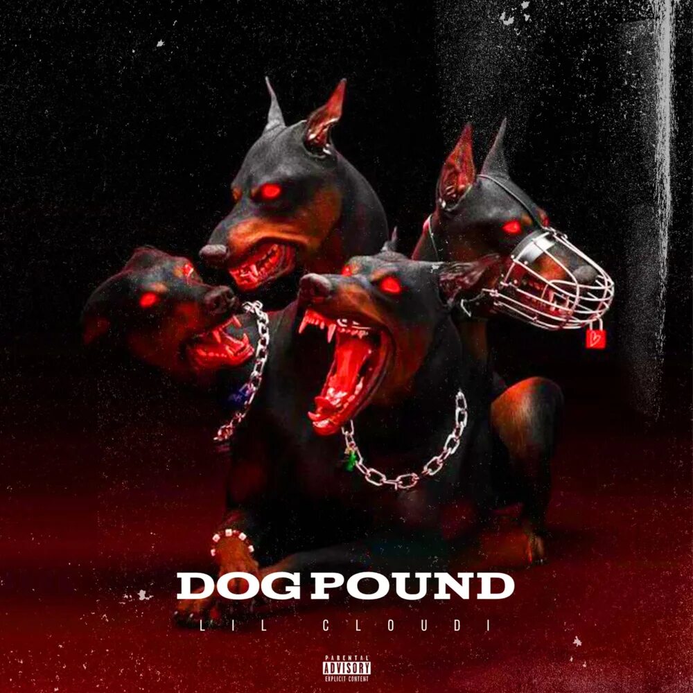 Загон для собак бутч. Doggy pound. Dog pound. Загон для собак 2009. Загон для собак 2009.