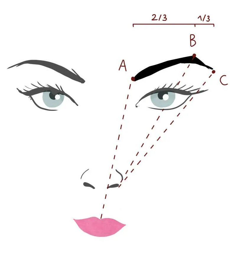 Построение формы бровей. Построение формы бровей. Идеальная форма бровей схема. Линии построения бровей. Построение формы бровей.