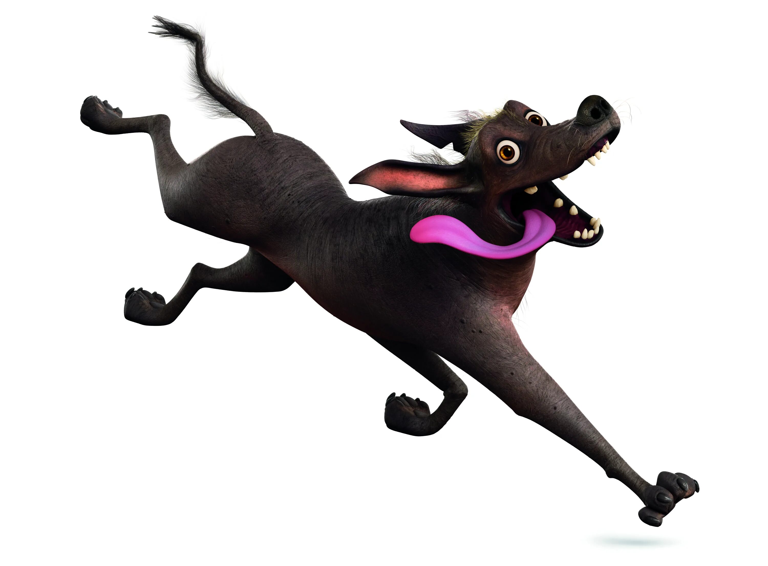 Тайна коко собака данте. Ксоло тайна коко. Coco triple dog. Тайна коко собака. Ксоло тайна коко.