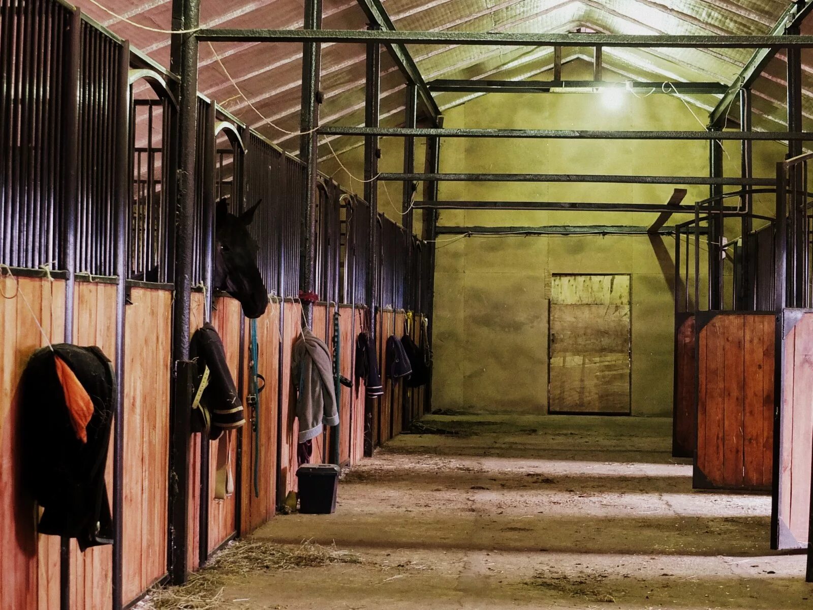 обменник на конюшен 2. конюшня грин хорс волгоград. оборудованиедляканюшни. обменник на конюшен 2. обменник на конюшен 2.