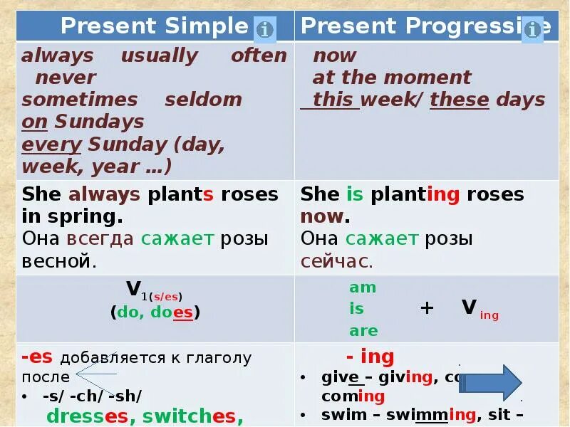 Предложения с often. Always present simple. Презент Симпл always. Предложения в present simple. Предложения в презент Симпл.