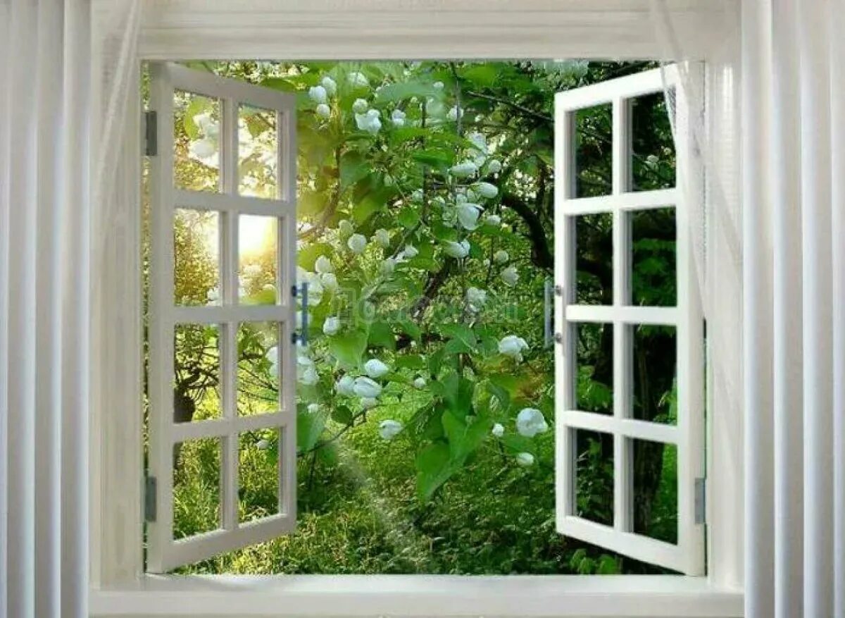 Сад в окне. "Домик окнами в сад". Открытое окно.