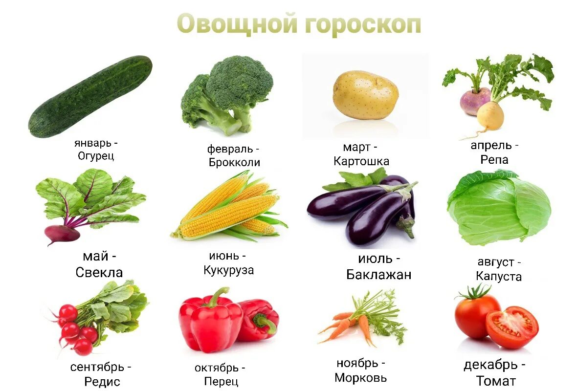 Какой овощ не любил ковальский. Овощ по знаку зодиака. Знаки зодиака овощи. Знаки зодиака по фруктам и овощам. Овощной гороскоп.