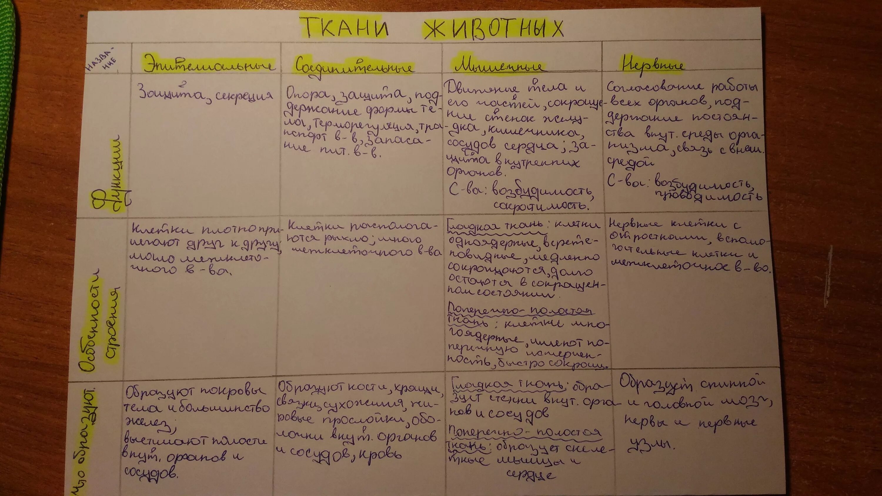 8 параграф 5 класс 1 вопрос. Ткани животных таблица 5 класс по биологии. Таблица по биологии ткани животных. Таблица по биологии 8 класс ткани. Ткани животных 5 класс биология таблица.