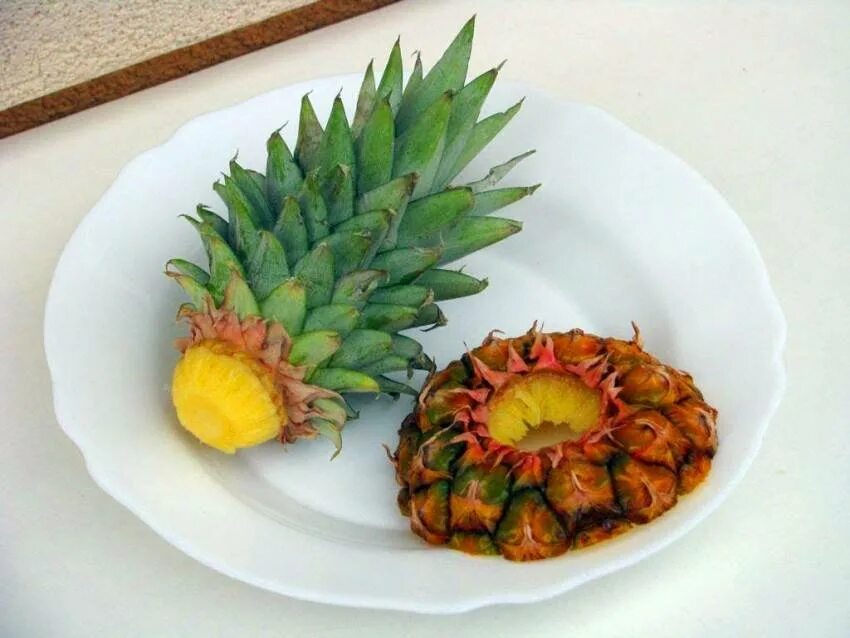 Можно ли вырастить ананас дома. Прорастить ананас. ананас (ananas) срезка. вырастить ананас дома из верхушки. ананас укоренение верхушки.
