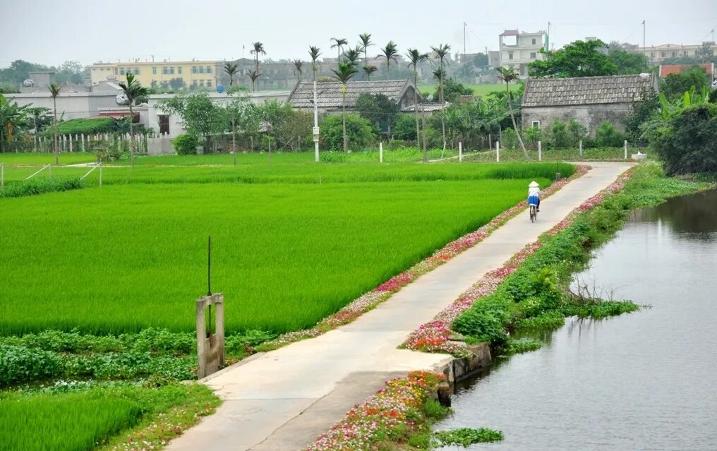 Ve que. Мини рисунки легкие маленькие природа. Bức tranh số crossroads. Природа минх. Hình ảnh quê tôi.