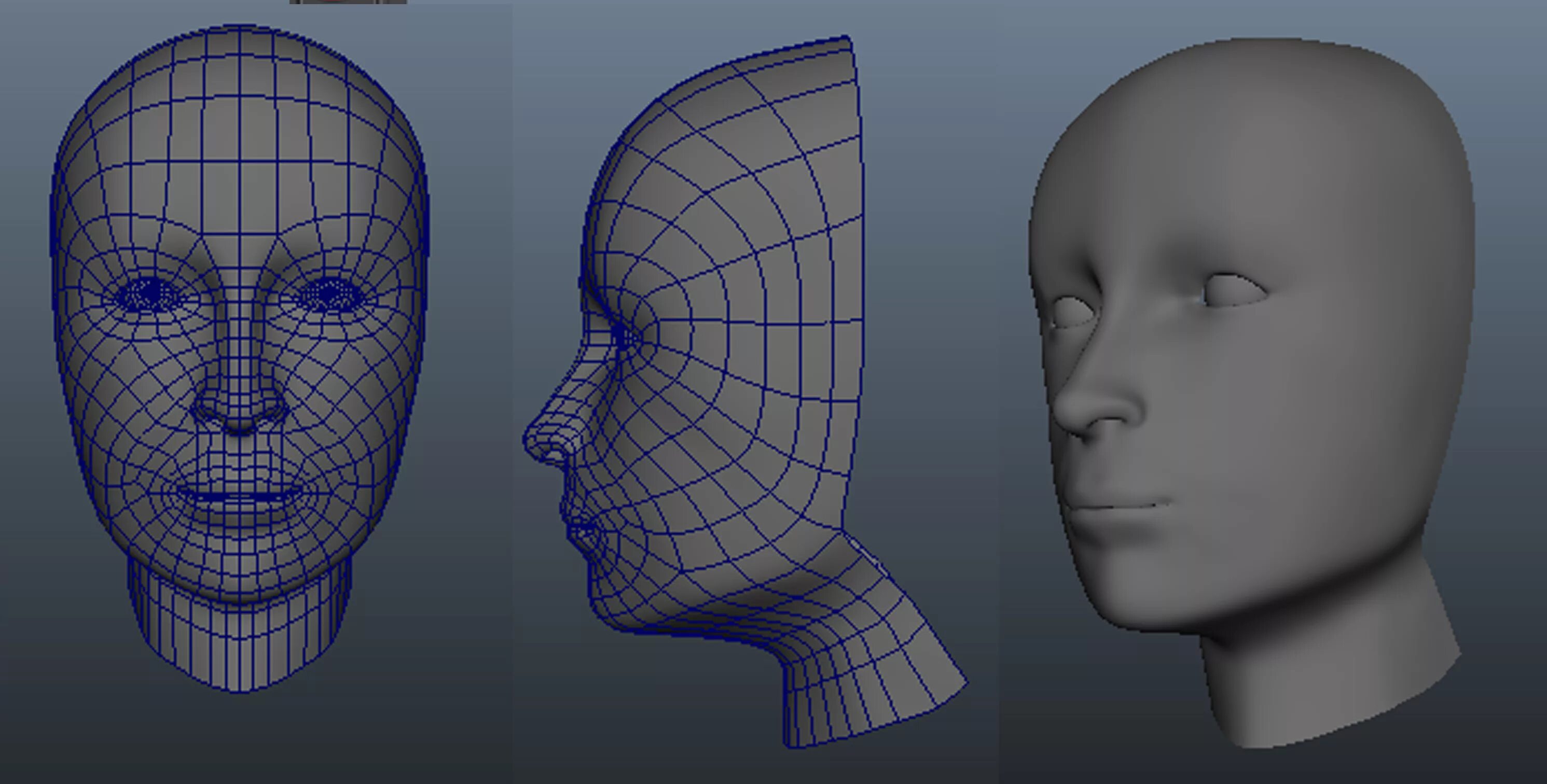 Полигональное 3д моделирование. Моделирование в трехмерной графике. Голова человека для моделирования. Трехмерная компьютерная Графика. Нужные 3д модели