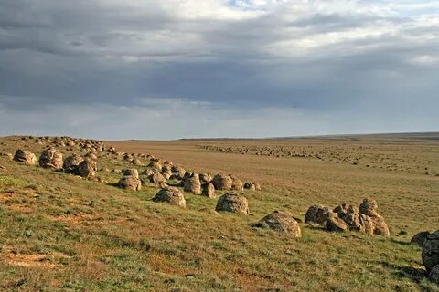 Каменная степь воронежская область