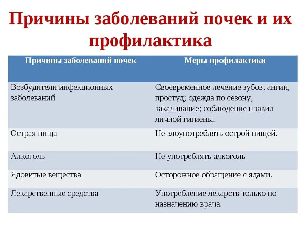 Болезни почек биология 8 класс. Профилактика почечных заболеваний. Профилактика болезней почек. Причины заболевания почек и профилактика. Причины и профилактика почечных заболеваний.