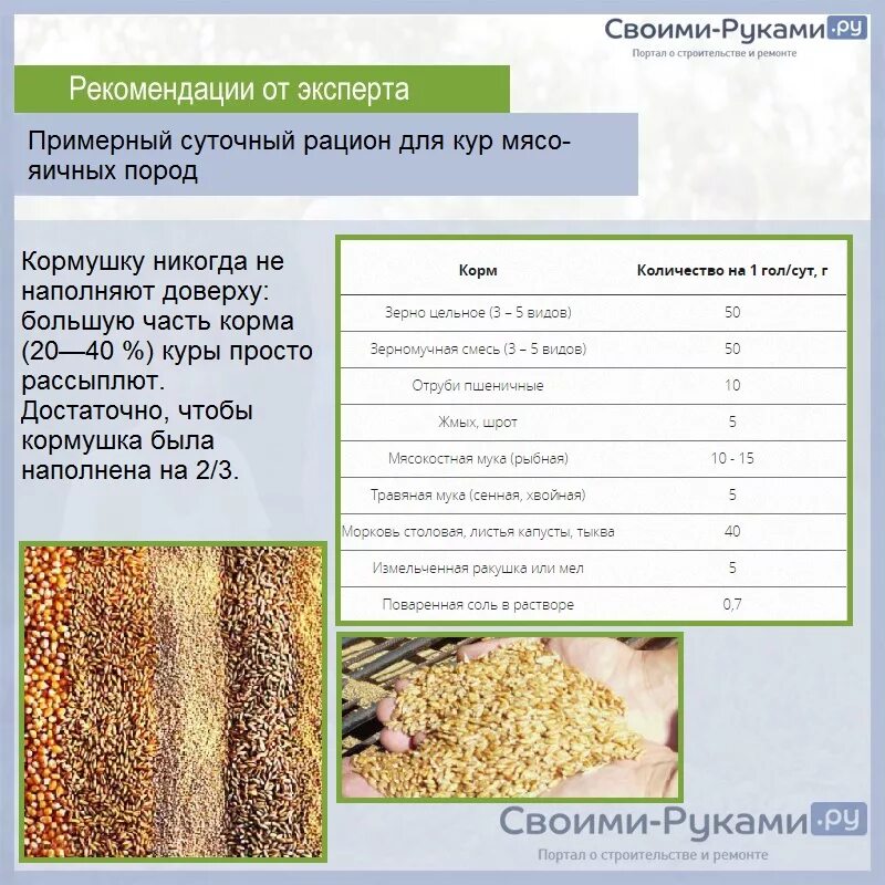 Что надо давать курам. Рацион корма несушкам. Рацион кур несушек. Рацион корма для кур. Рацион комбикорма для кур несушек.