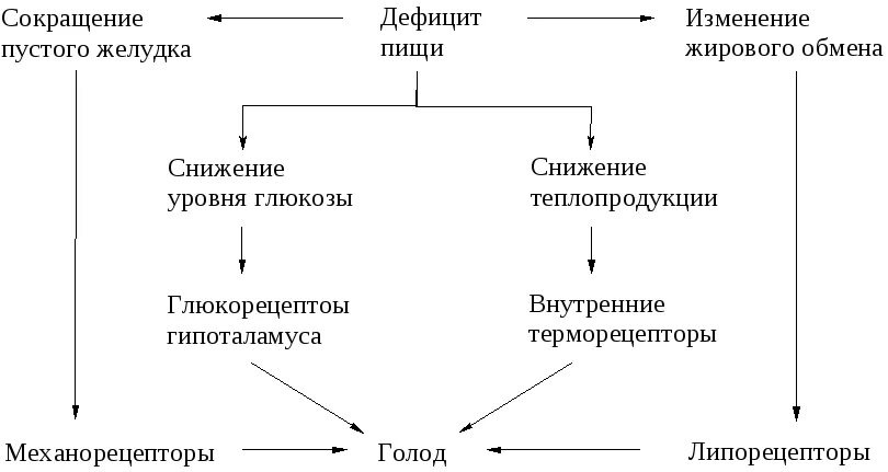 Схема механизмов голода и насыщения. Физиологические механизмы аппетита, голода и насыщения. Факторы формирующие чувство голода. Физиологические механизмы голода и насыщения физиология. Схема голода