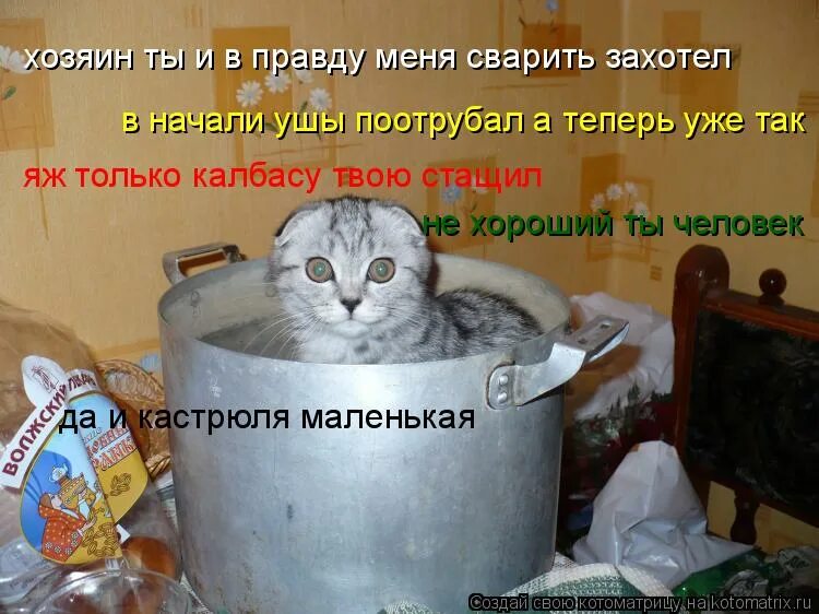 жареные гвозди гвозди. день картошки. день варки картофеля 26. кот в кастрюле. суп с котом.