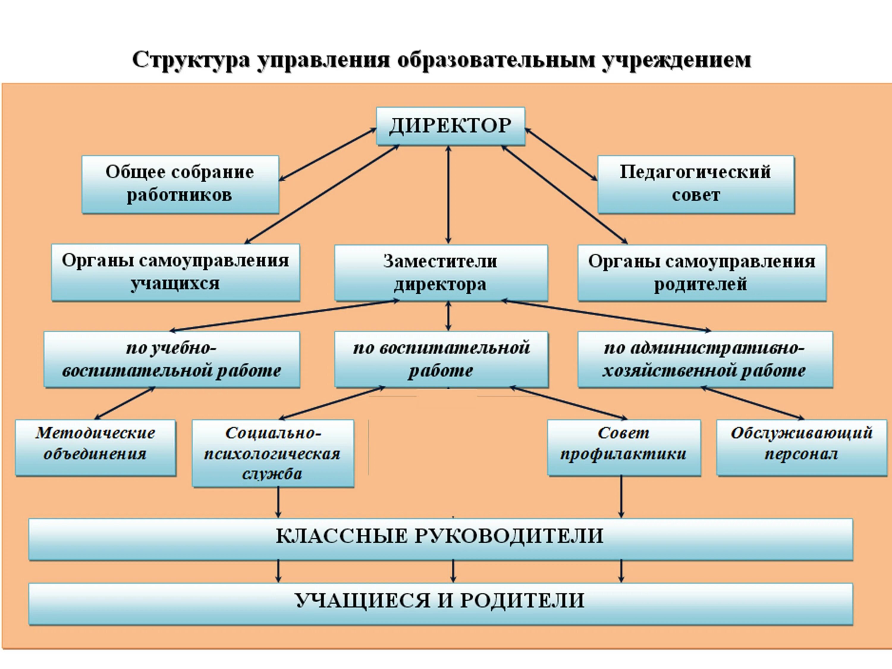 Структура учебного заведения школы. Структурная схема управления образовательной организации. Структура и органы управления образовательным учреждением. Органы управления общеобразовательной организацией. Управление негосударственным образовательным учреждением