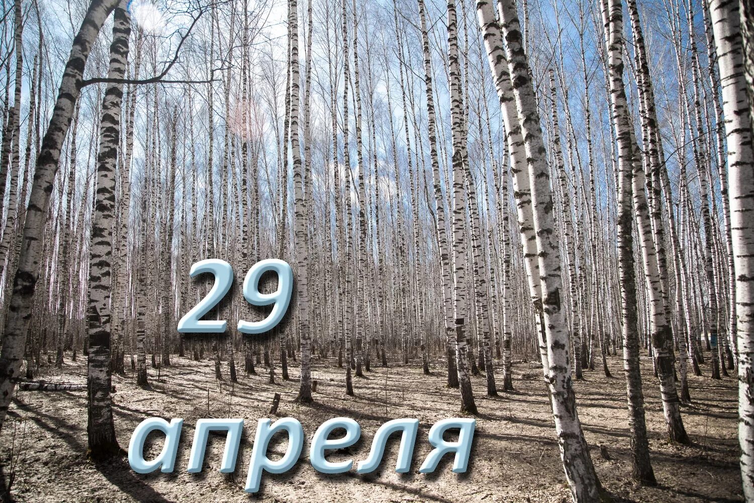 29 апреля 2021 г. 29 Апреля. 29 Апреля календарь. 29 Апреля картинки.