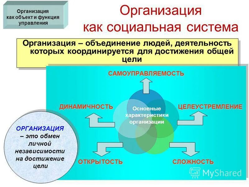 Организация для достижения общих целей. Объединение государств для достижения общих целей. Организация это объединение совместно работающих. Толкования понятия организации. Классификация фирм по интеграции.