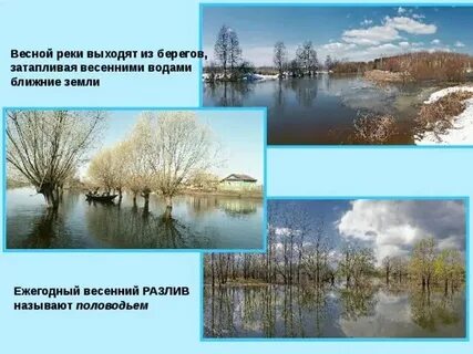Как река изменяется в разные годы