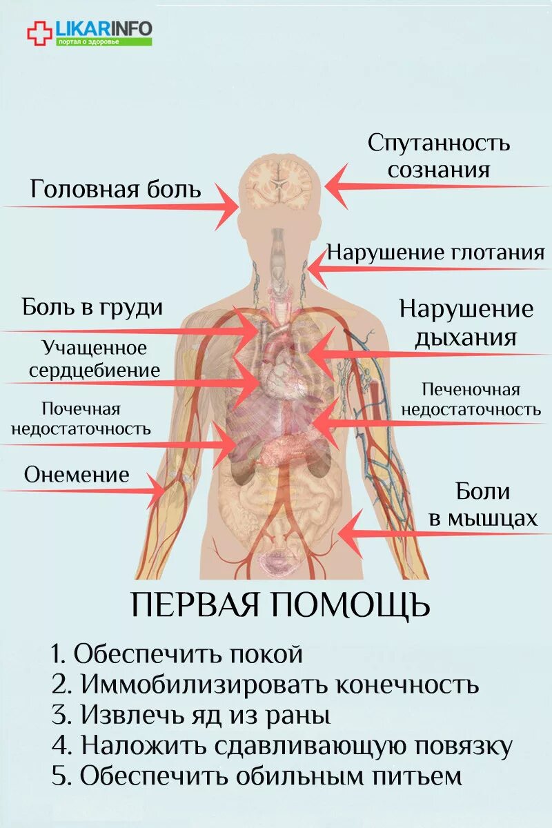 Головокружение, тошнота, потеря сознания первая помощь. Кружится голова и тошнит. Тошнота и потеря сознания причины. Тошнота после обморока. Кружится голова заболевание