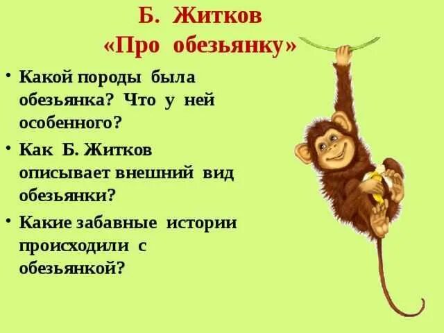 Рассказ про обезьянку Житков. Литературное чтение 3 класс Житков про обезьянку. План про обезьянку 3 класс Житков.