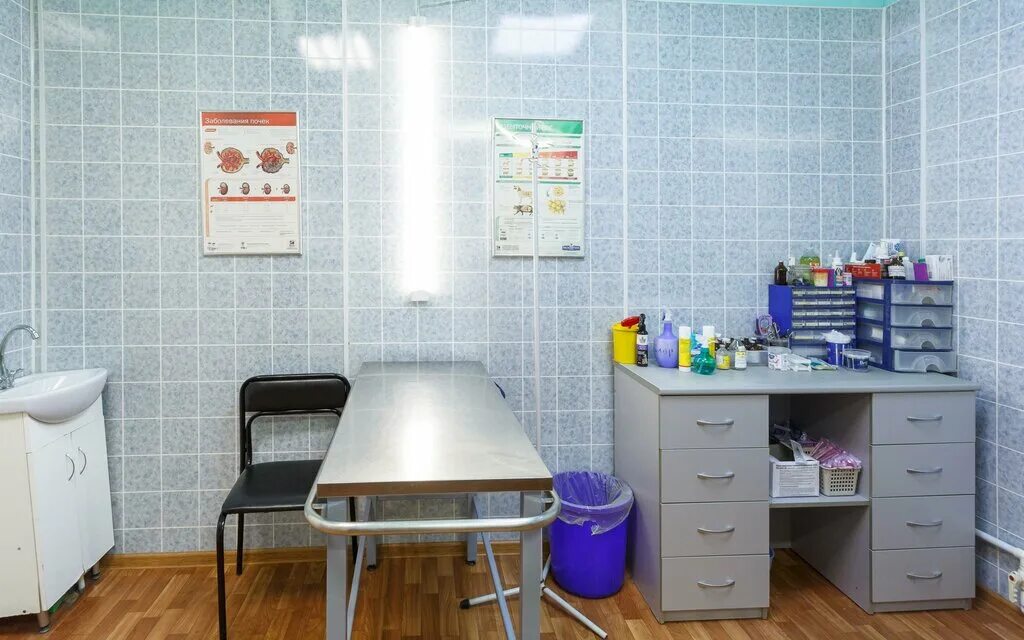 Ветклиника казань гаврилова 30. Ветеринарная клиника на чуйкова 93 казань. Ветеринарная клиника в зеленодольске. Ветклиника на гаврилова казань. Ветбарс зеленодольск хирургия михаил потапов фото.