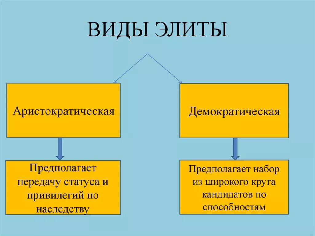 Формы политической элиты. Виды Элит. Виды политической элиты. Виды Элит в обществе. Виды Элит и их представители.