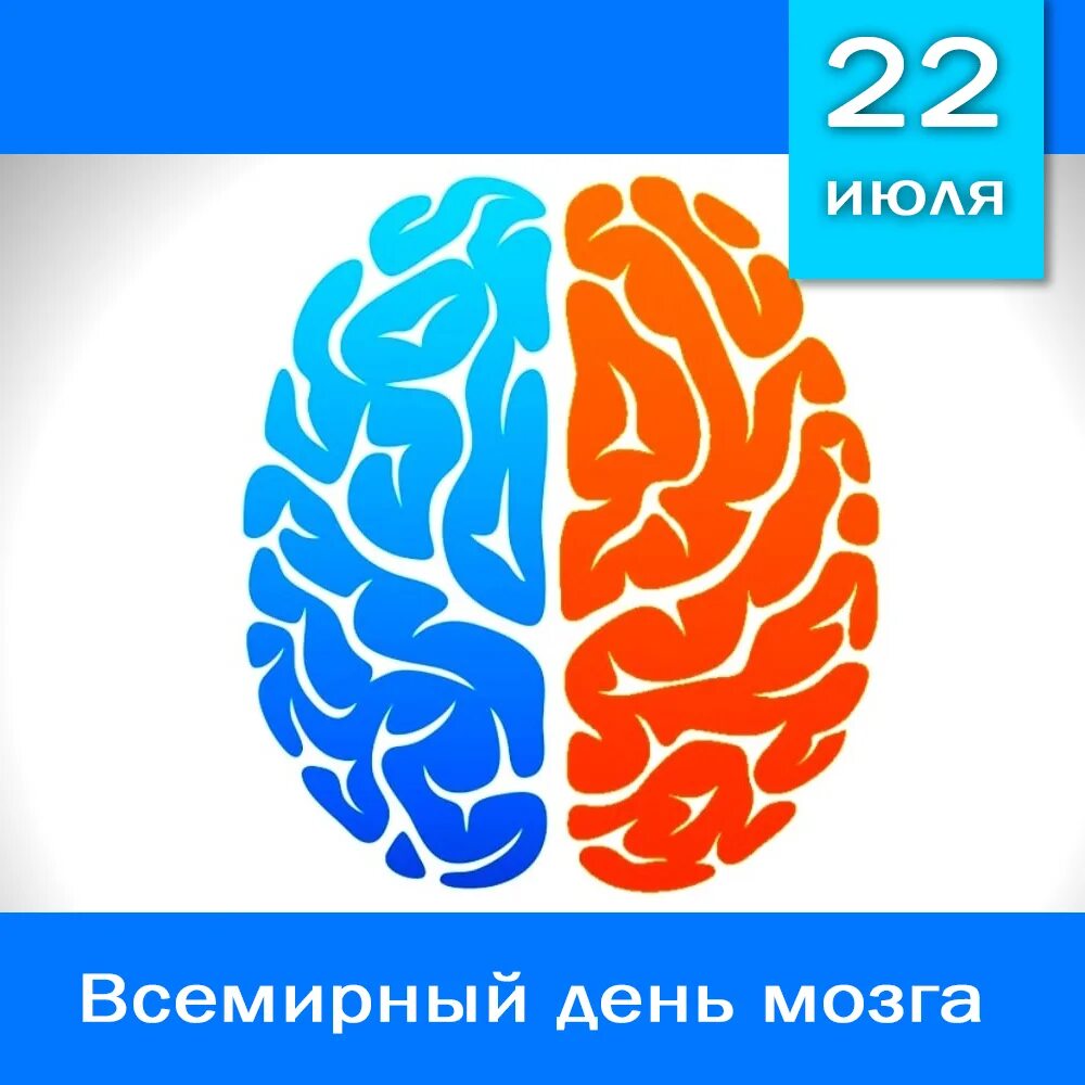 Brain 22