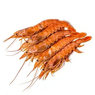 Лангустины с головой
