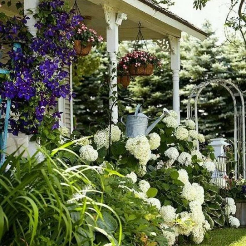 Красивые цветы перед домом. Цветы в палисаднике. Цветы на дачном участке. Красивые цветники на даче.