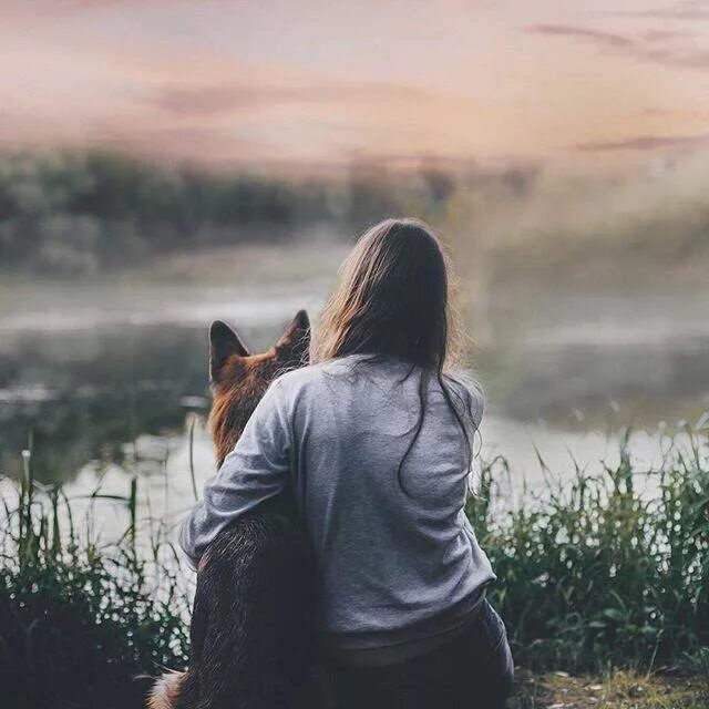 Счастлив тот цитаты. Радость это когда. Счастье это когда. Девушка с немецкой овчаркой со спины. Живите и радуйтесь жизни цитаты.