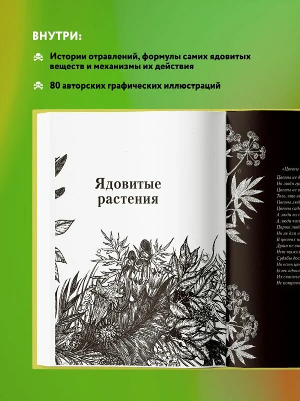 Яды вокруг и внутри сакина зейналова. Яды вокруг и внутри сакина зейналова. Сакина зейналова яды. Яды вокруг и внутри путеводитель по самым опасным веществом. Сакина зейналова яды.