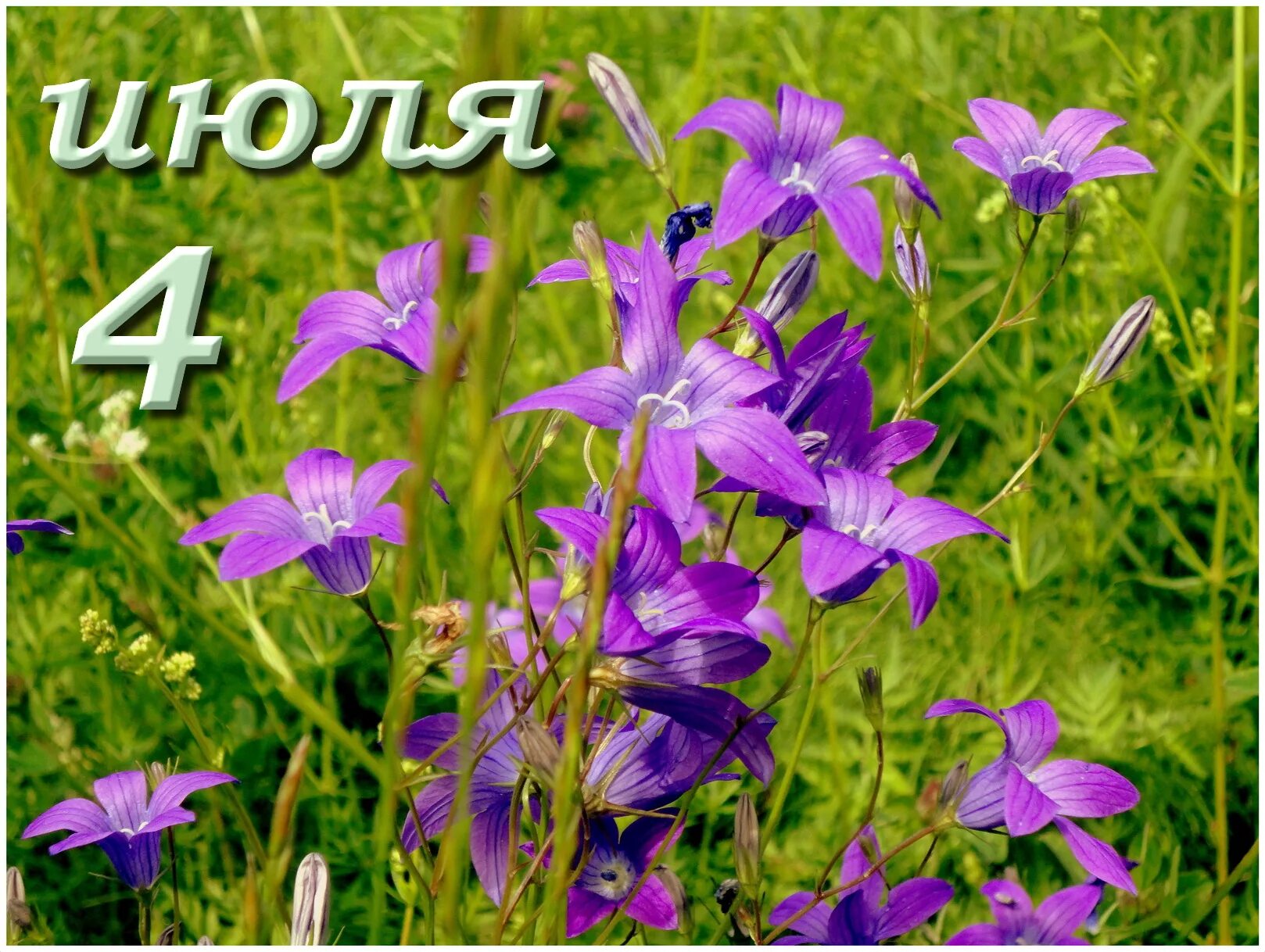 Какой праздник сегодня в россии 4 апреля. 4 Июля календарь. Июль 4 день праздник. 4 Июля праздник. Ульянов день 4 июля.
