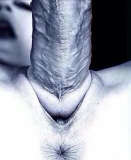 Hell no allllll the way in! 